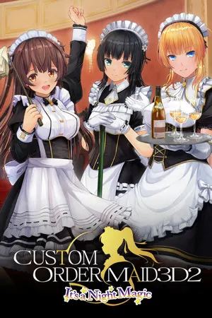 CUSTOM ORDER MAID 3D2 It's a Night Magic cover art