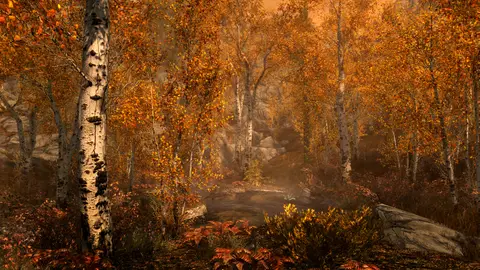 The Elder Scrolls V: Skyrim Special Edition screenshot 3 of 4