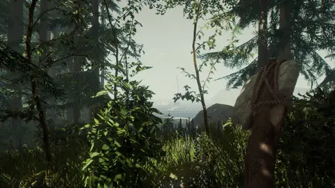 The Forest screenshot 4 of 4