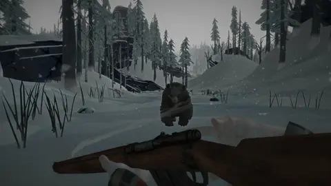The Long Dark screenshot 4 of 4