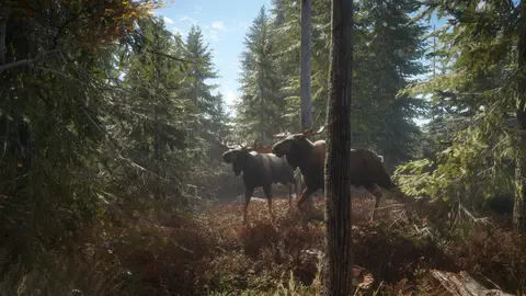 theHunter: Call of the Wild screenshot 1 of 4