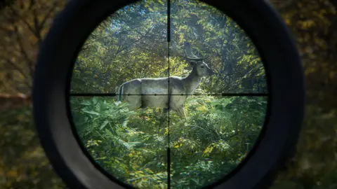 theHunter: Call of the Wild screenshot 3 of 4