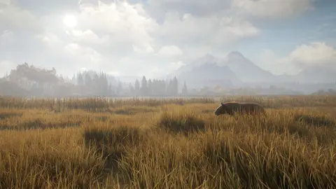 theHunter: Call of the Wild screenshot 2 of 4